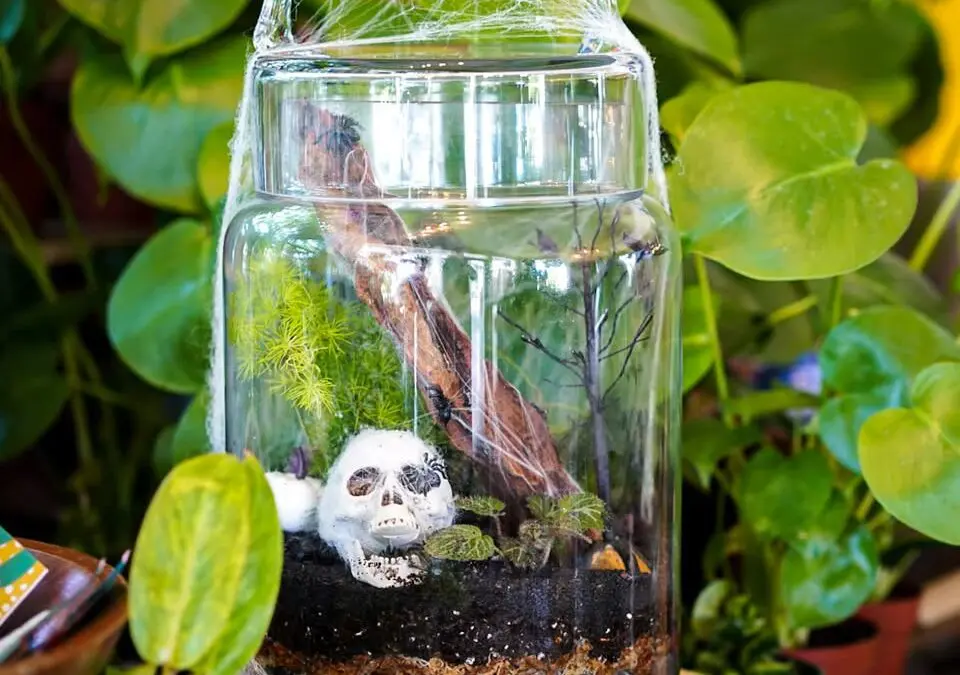Terror-arium Workshop