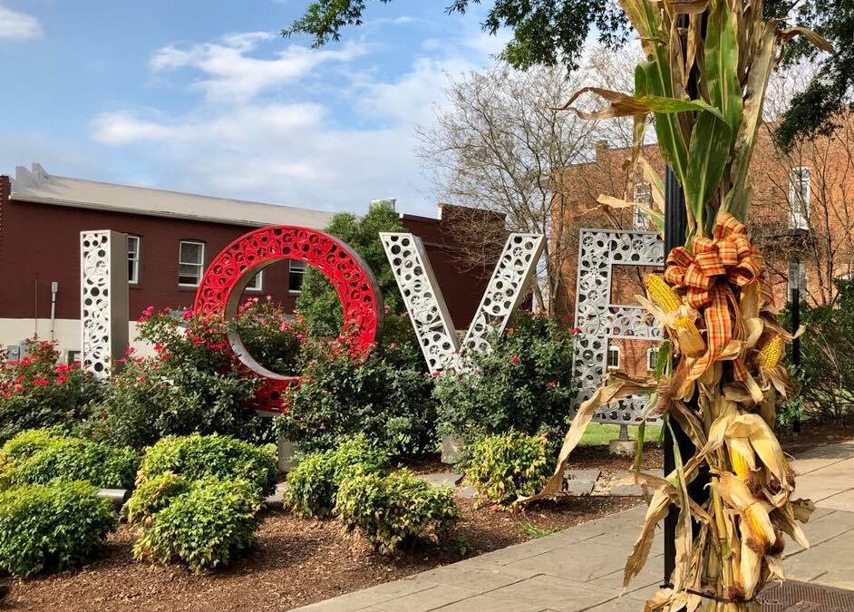 Top 10 Reasons to Visit Culpeper Downtown this Fall!