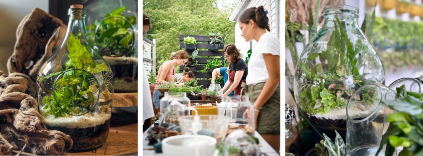 Terrarium Workshop