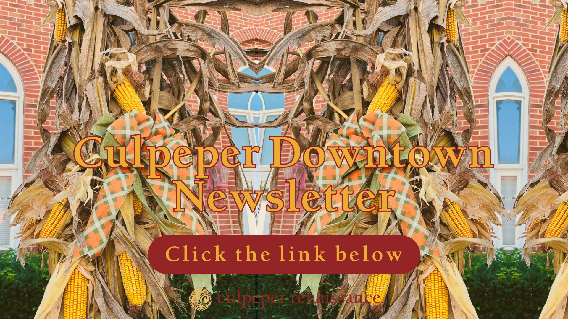 10 January Newsletter