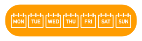 all week